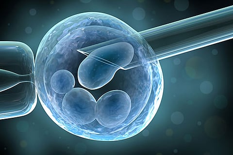 IVF treatment