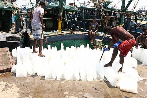 Ice bars being broken into pieces to be stored in onboard freezers (Photo: Prakaash)