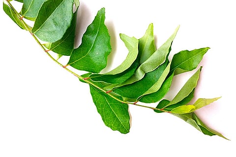 Grandma's Wisdom: Currying favour