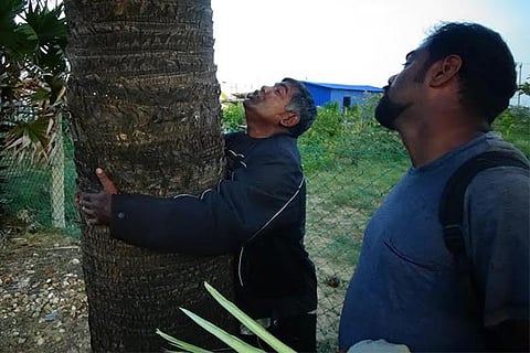 Pastor Godson Samuel measuring the girth of a palm tree