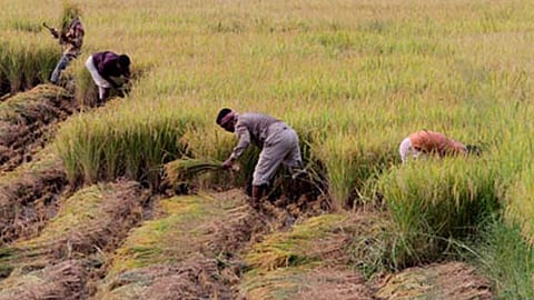 File photo of the farmers