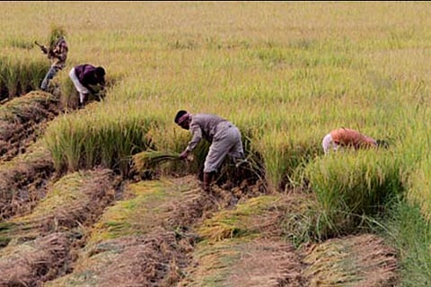 File photo of the farmers