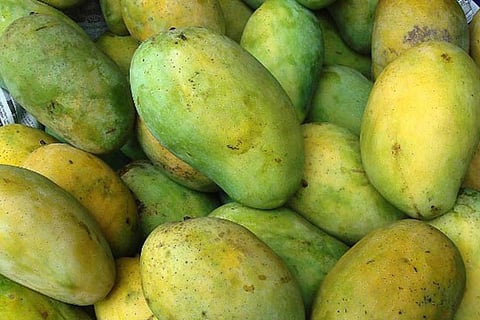 Representative image