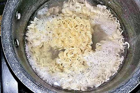 Picture shows large presence of weevils in the Maggi noodles bought in Chennai