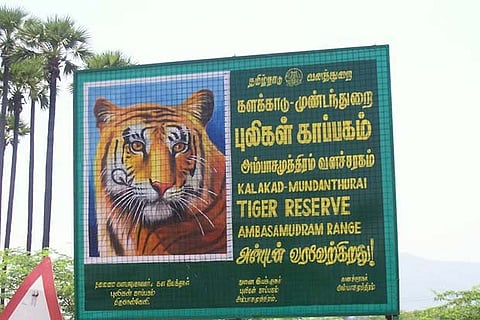 Officials expect Kalakad tiger count to go up