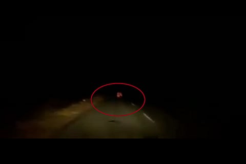 Actor Soori encounters a ?ghost? on late night drive