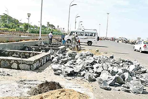 Ground prepared for transplanting the Copperpod (Photo: Prakaash)