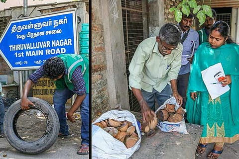 Senior entomologist Siva Porkodi on inspection in Adyar (Photos: Justin George)