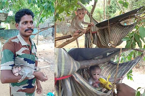 Anti-poaching watcher Chockalingam with Sofie(L); the infant monkey in Papanasam