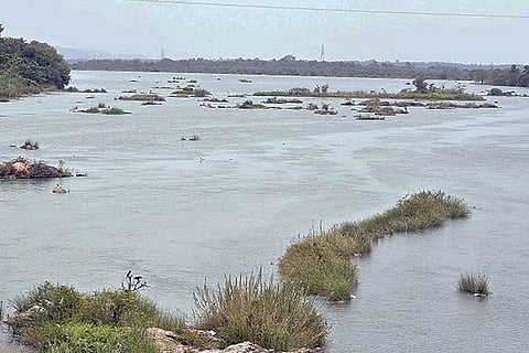 File photo of Cauvery river