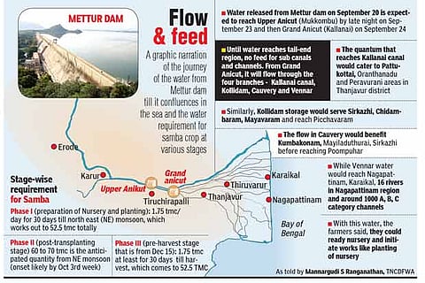 Fact File (As told by Mannargudi S Ranganathan, TNCDFWA)