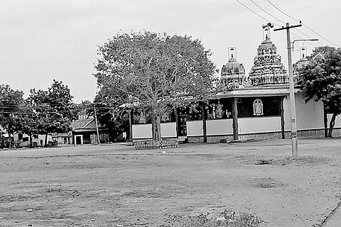 Mariamman temple in the middle of Ramji Nagar where the professional burglars regularly perform puja