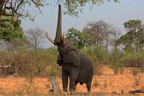 Representative Image