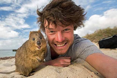 Selfies clicked by photographer Allan Dixon