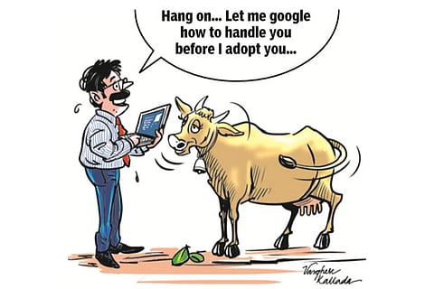 Illustration by Varghese Kallada