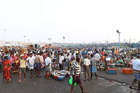 A bustling scene at the Kasimedu Fish Market, where several tonnes of fish are sold every day
