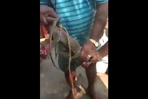 A screengrab of the monitor lizard that was killed