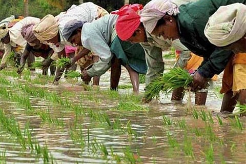 Centre’s announcement, an adhoc relief, say farmers