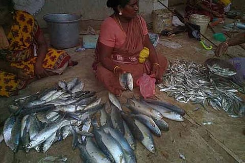 Women selling fish at Rameswaram
