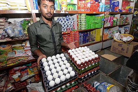 Eggs kept for sale at a grocery store in Coimbatore