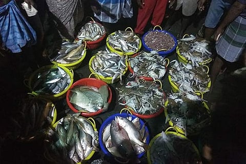 Auction proceeding at a brisk pace at Kasimedu fish market, with bidders from across the city