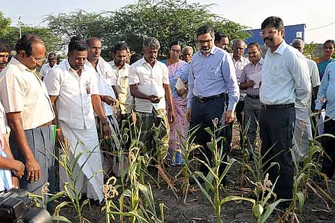 Principal Secy to the department of Municipal Administration K Phanindra Reddy inspecting fields
