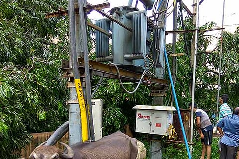 Residents inspect a junction box