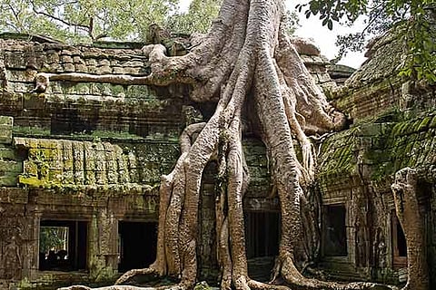 A temple in Ta Prohm located near Angkor Wat heritage complex, Cambodia