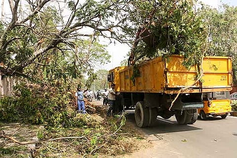 A file photo of Corporation workers collecting green waste after Cyclone Vardah