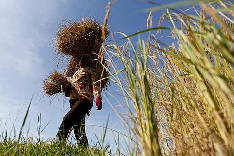 Align fiscal year with Jan-Dec calendar, recommends study