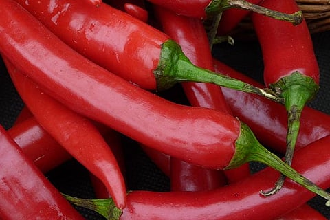 Representative image of Red chillies