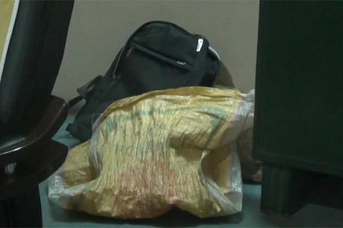 The seized consignment