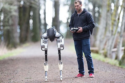 Creepy robot walks like a chicken and could someday deliver groceries