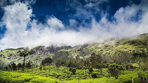 Picturesque mountains of Munnar