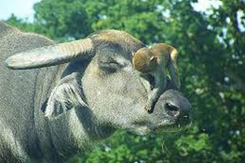 Life's Lessons: Patience helps earn respect