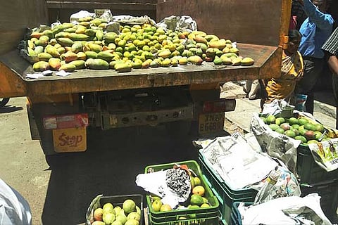 The artificially ripened mangoes seized from Coimbatore