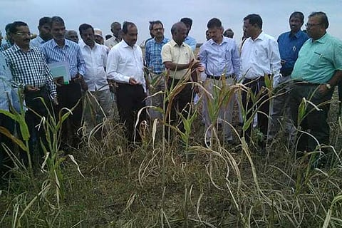 A file photo of the Central drought team inspecting a field at a village in Tamil Nadu