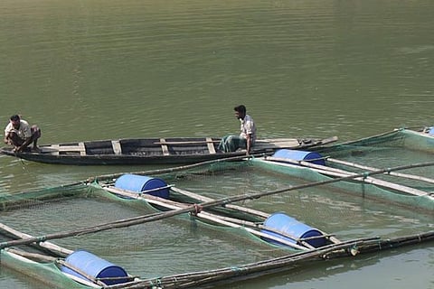 Representative Image (Image: inclusivebusinesshub)