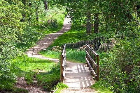 Life's Lessons: There’s no shame in forgiving another person