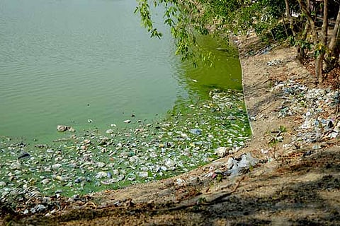 Garbage dumped on the banks polluting the Tirupananthal lake near Pammal
