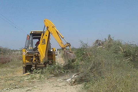 File photo of seemai karuvelam trees being removed near Kovilpatti in Thoothukudi district