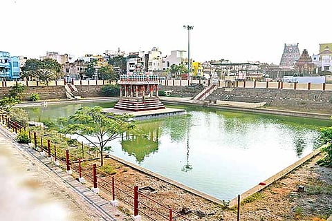 Water level at the Parthasarathy Temple tank has gone down considerably this summer