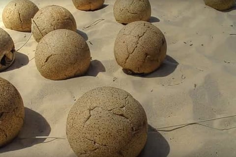 Life's Lessons: ‘There is a treasure in every one, only we are unaware’