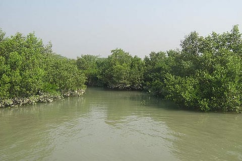 Sunderbans goes hi-tech to keep infiltrators, smugglers at bay