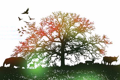 Tamil Nadu's Biodiversity Loss