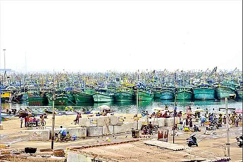 The busy Kasimedu fishing market (File photo)