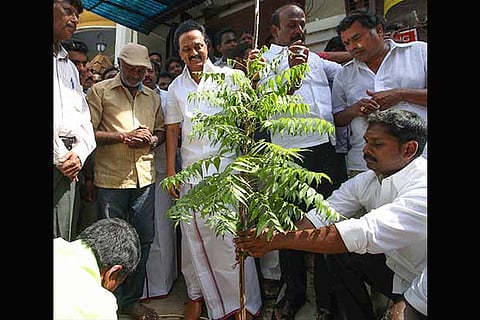 DMK working president MK Stalin plants a sapling as part of a drive at Saidapet