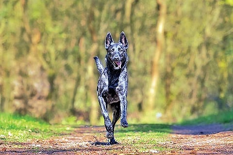 Life’s Lessons: As you sow, so you will reap