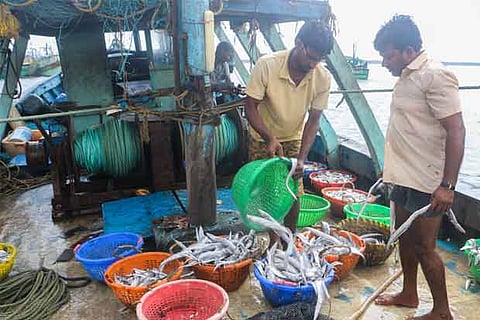 Fishermen with their catch.