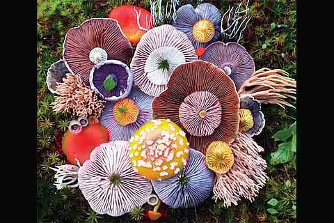 A picture clicked by Jill Bliss